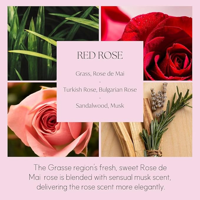 396 st. Dahlia Flower Reed Diffuser, Baby Powder, 200ml(6.7oz) / Reed Diffuser Sets, Home Fragrance, Scented Oils, Home & Bathroom Décor - Bloomnest