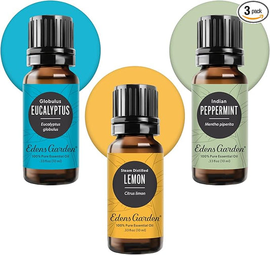 Edens Garden Essential Oils 3 Set – 100% Pure Therapeutic Grade, Undiluted, Natural Aromatherapy Scents for Diffusers, Humidifiers, Massage & Yoga – Eucalyptus, Lemon & Peppermint, 10 ml/ 3 Pack - Bloomnest