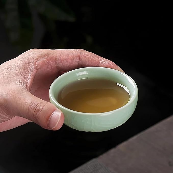 Travel Tea Set Ceramic Tea Pot Set Chinese Kung Fu Teapot Porcelain Gongfu Teacups with Infuser, Portable Bag 1 Pot 2 Mini Cup All in One for Home Office Outdoor Picnic Camping Hotel