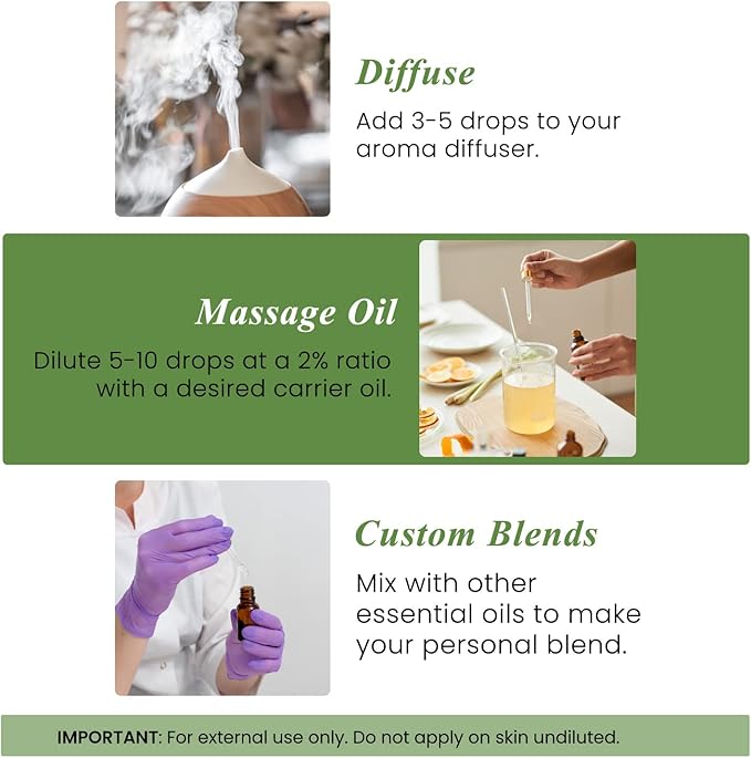 Handcraft Blends Rosemary Essential Oil – Huge 4 Fl Oz – 100% Pure and Natural – Premium Grade Essential Oil for Diffuser and Aromatherapy, Skin, Massage, Candle and Soap Making Fragrance - Bloomnest