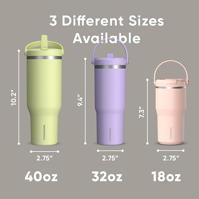 Hydrapeak Nomad 32 oz Tumbler with Handle and Straw Lid, Leakproof, Double Insulated, 32oz Cup Stainless Steel (Stone) - Bloomnest
