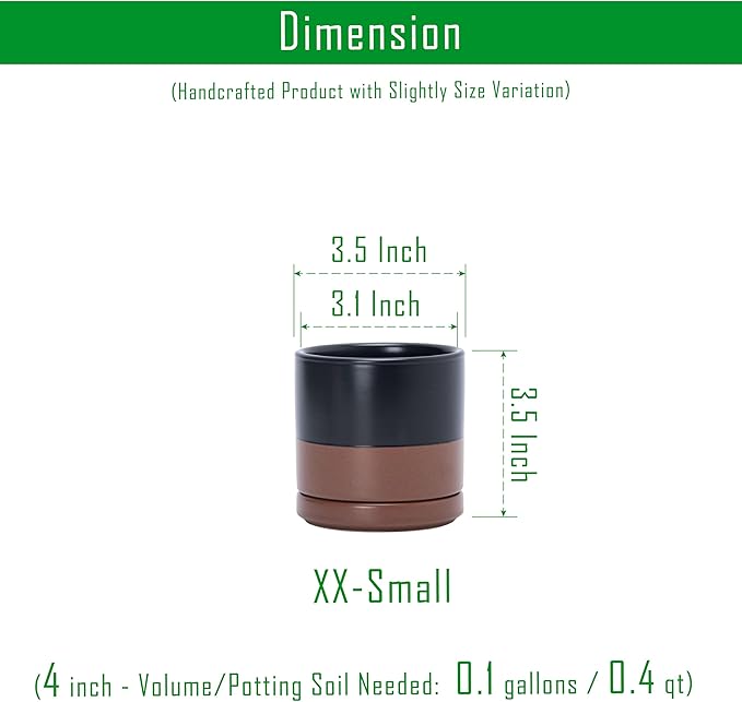 D'vine Dev Set of 2 Plants Pots, 3.5 Inch Ceramic Planter Pot for Plants with Drainage Hole and Saucer, Black/Speckled Tan, 94-V-A-7 - Bloomnest