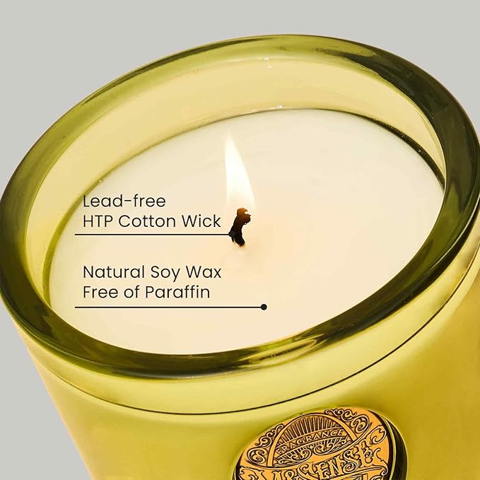 M&SENSE Natural Soy Candle | Seattle Rainforest & Matcha Green | 9.2 oz, 50H Burn Time | Luxury Scented Candle for Relaxation, Gifting, Home Décor | Ideal for Bedroom, Office, Party Ambiance - Bloomnest