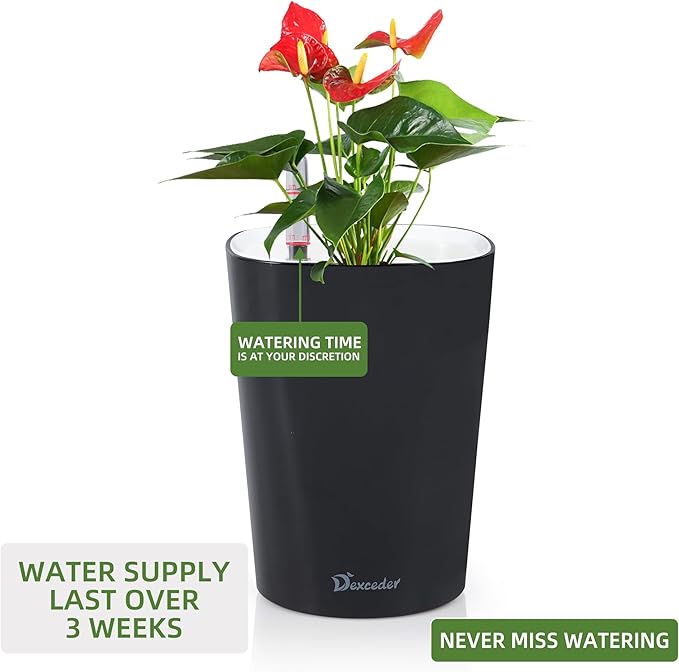 Dexceder 6x7 Self Watering Planter Indoor Outdoor, High Gloss Table Flower Plant Pot with Water Level Indicator (Black) - Bloomnest
