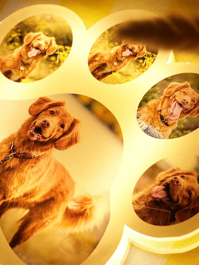 Personalized Dog paw Photo Lamp Custom Photo Night Light Acrylic Board Nightlight Decor Room Bedside Lamp Gifts for Christmas Birthday Gifts Personalized Gift for Pet Lover (Dog paw 2) - Bloomnest