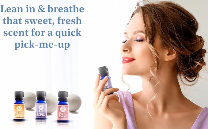 Woolzies Laundry Collection Essential Oil Set | 100% Pure Therapeutic Grade Aromatherapy Oil | Use with Wool Dryer Balls or Oil Diffuser | Gift Set Includes Pure Fresh, Still Breeze, Citrus Clean - Bloomnest