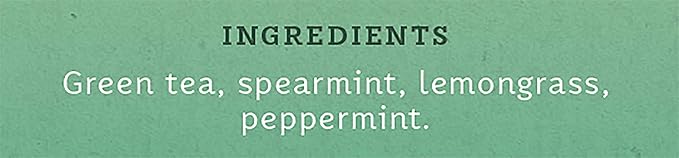 Stash Tea Moroccan Mint Green Tea - Caffeinated, Non-GMO Project Verified Premium Tea with No Artificial Ingredients, 30 Count (Pack of 6) - 180 Bags Total - Bloomnest