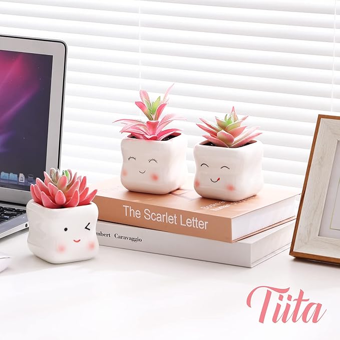 Tiita Cute Artificial Faux Succulents in Pots, Pink Fake Plants Ceramic Arrangement Planter Small Mini Tiny Decoration for Home Office Accessories Women Desk Window Sill Bathroom Bedroom - Bloomnest