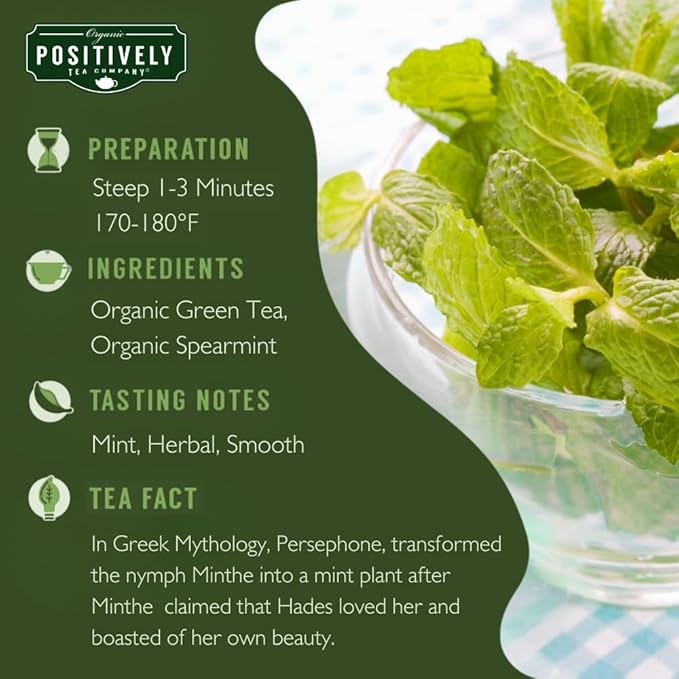 Organic Positively Tea Company, Spearmint Green Tea Bags, 20 Count - Bloomnest