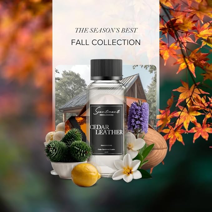 Scentiment Diffuser Oil - Cedar Leather Fall Collection | Aromatherapy Home Fragrance | Luxurious Scent with Lemon, Jasmine Sandalwood, Amber, Lavender, Vanilla, & Musk (50ml) Scentiment