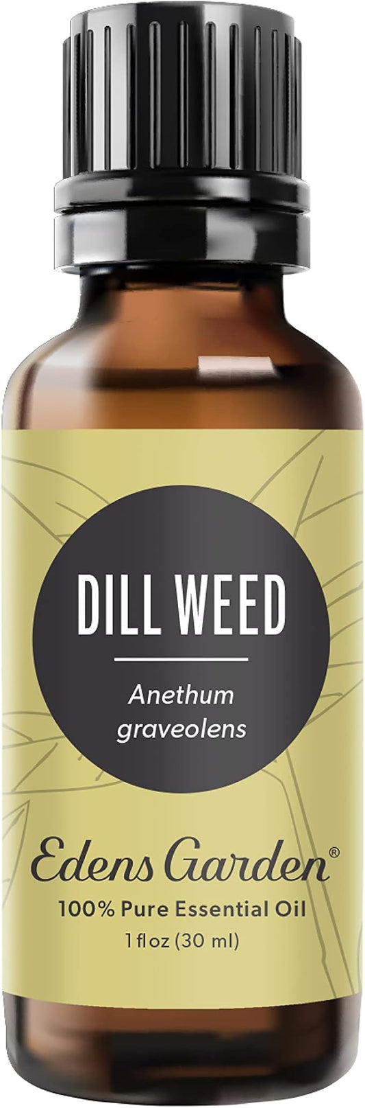 Edens Garden Dill Weed Essential Oil- 100% Pure Premium Grade, Undiluted, Natural, Therapeutic, Aromatherapy, The Best for Diffuser, Skin, Humidifiers, Kid Safe 30 ml (1 fl oz) - Bloomnest