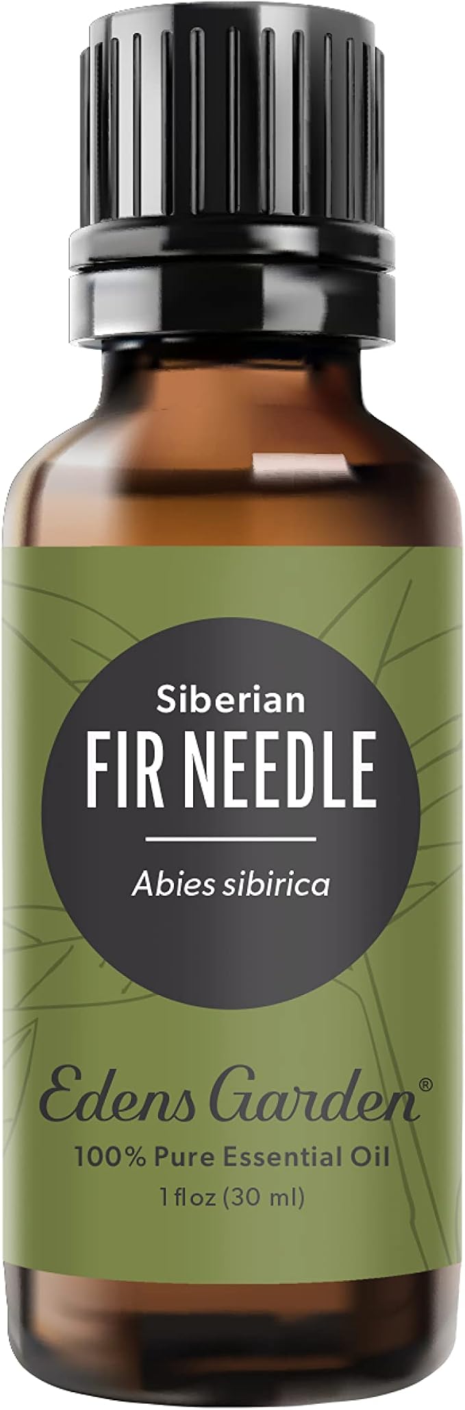 Edens Garden Fir Needle- Siberian Essential Oil, 100% Pure Therapeutic Grade (Undiluted Natural/Homeopathic Aromatherapy Scented Essential Oil Singles) 30 ml - Bloomnest
