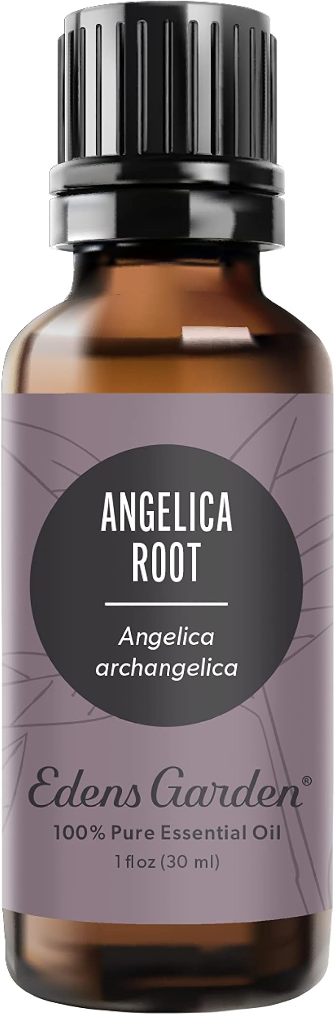 Edens Garden Angelica Root Essential Oil- 100% Pure Premium Grade, Undiluted, Natural, Therapeutic, Aromatherapy, The Best for Diffuser, Candle, Laundry, Kid Safe 30 ml (1 fl oz) - Bloomnest