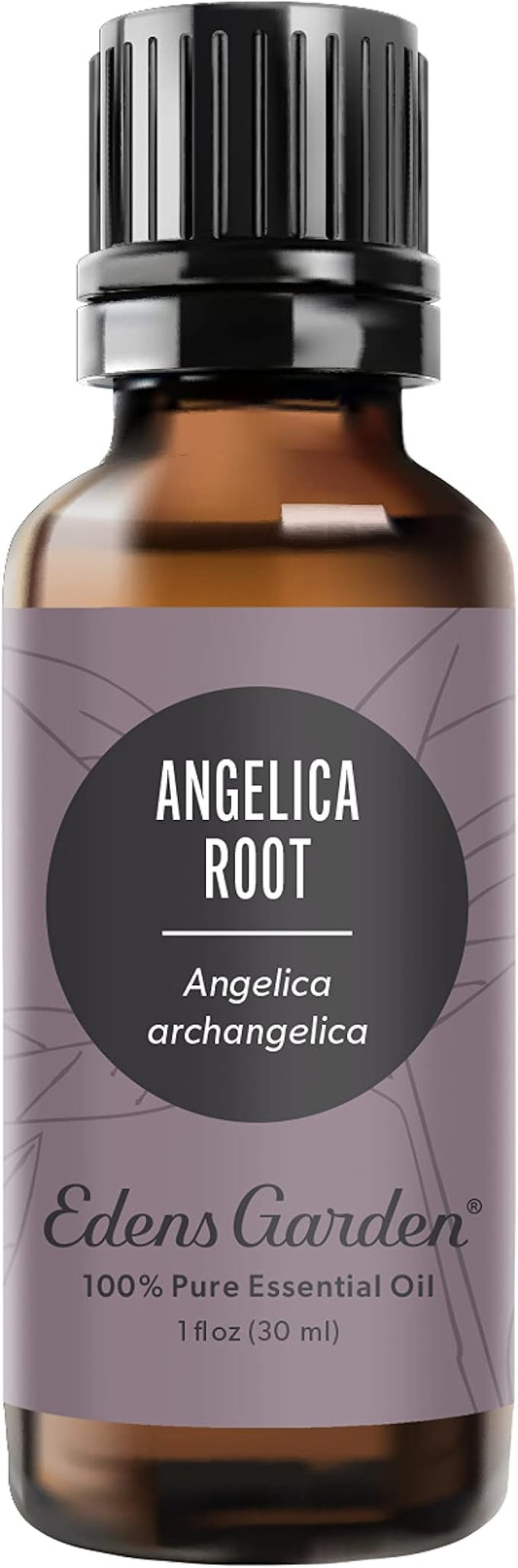 Edens Garden Angelica Root Essential Oil- 100% Pure Premium Grade, Undiluted, Natural, Therapeutic, Aromatherapy, The Best for Diffuser, Candle, Laundry, Kid Safe 30 ml (1 fl oz) - Bloomnest