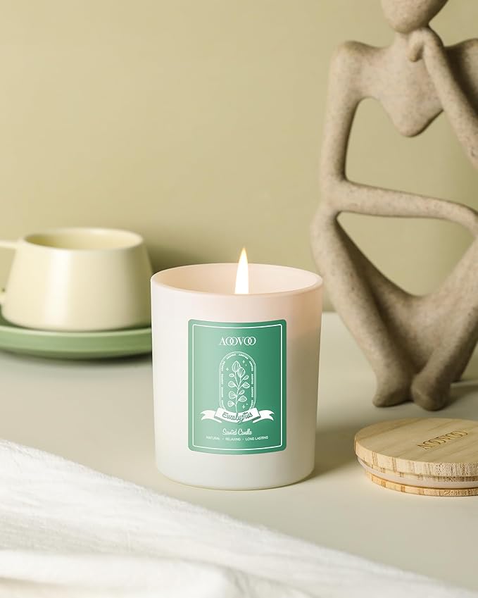 AOOVOO Eucalyptus Mint Scented Candles for Women - Aromatherapy Candle with Crystals Inside, 10oz Soy Candles for Home Scented, Birthday Gifts Christmas Candle for Women Mom - Bloomnest