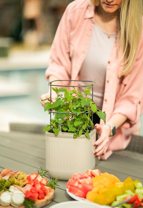 Vego garden Mini Planter Indoor Pots with Trellis Self-Watering Herb Countertop Planter for Climbing Vegetables Flowers Mint Plants Cage 2 Pack- Cream White - Bloomnest