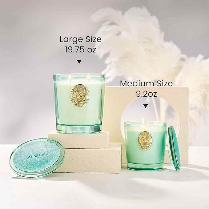M&SENSE Large Two-Wick Clean Soy Candle | Fresh Linen & Neon Blue | 19.8 oz, 120H Burn Time | Luxury Scented Candle for Relaxation, Gifting, Home Décor | Ideal for Bedroom, Office, Party Ambiance - Bloomnest