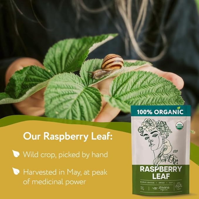 Organic Red Raspberry Leaf Tea – Wild Raspberry Tea for for Pregnancy, Healthy Cycle, Menstrual Cramps – 6oz - Bloomnest