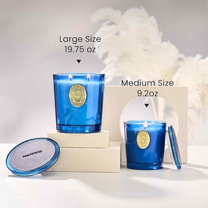M&SENSE Large Two-Wick Summer Soy Candle | Ocean Dream & Blule | 19.8 oz, 120H Burn Time | Luxury Scented Candle for Relaxation, Gifting, Home Décor | Ideal for Bedroom, Office, Party Ambiance - Bloomnest