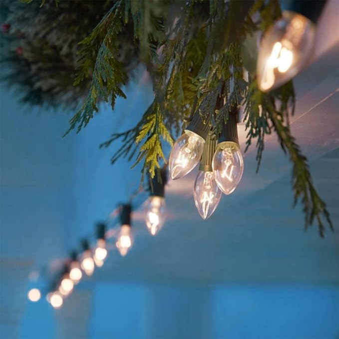 SUNSGNE 25 Pack C7 Clear Replacement Bulbs Christmas Light Bulbs, Outdoor Patio String Light Bulbs, C7 Night Light Replacement Bulbs, E12/C7 Candelabra Base, 5 Watt- Clear - Bloomnest
