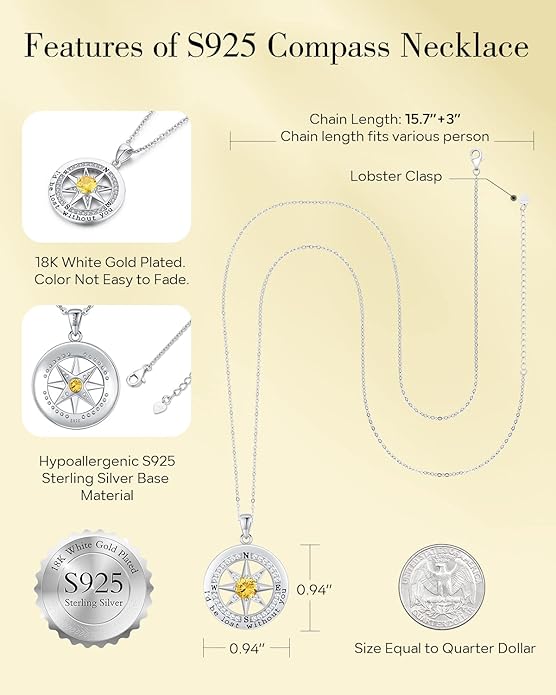 S925 Necklace Gift for Wife |Compass Jewelry |Women Anniversary |Sterling Silver |Girlfriend Birthday Gifts for Her Valentines |I'd be Lost without You |Jewel 18K Gold - Bloomnest