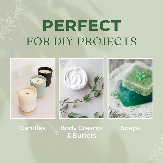 Wintergreen Essential Oil,100% Pure Natural Organic Therapeutic Grade for Aromatherapy Diffuser, Winter Green Oil for Inhalation Therapy, DIY Soap Candle Making, Refreshing, Crisp & Woodsy Scent - Bloomnest