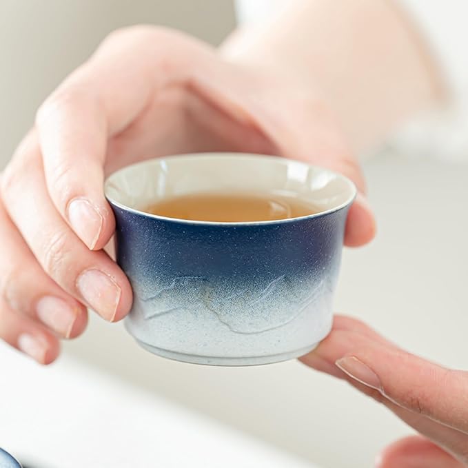 ICHAG Chinese Tea Set, Japanese Tea Sets for Adults, 15-Piece Porcelain Gongfu Tea Set with Tea Pet & Tea Tray, Japanese Teapot Set, Travel Tea Party Set, for Home/Office/Outdoor/Gifts (Blue) - Bloomnest