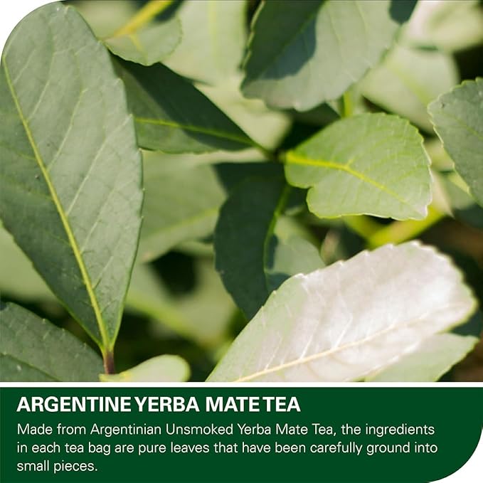 WT WEETEE Yerba Mate Tea Bag, Unsmoked Yerba Mate 50 Teabags From Argentina, Rich In Antioxidants, Plant Nutrients, Perfect Coffee Replacement - Bloomnest