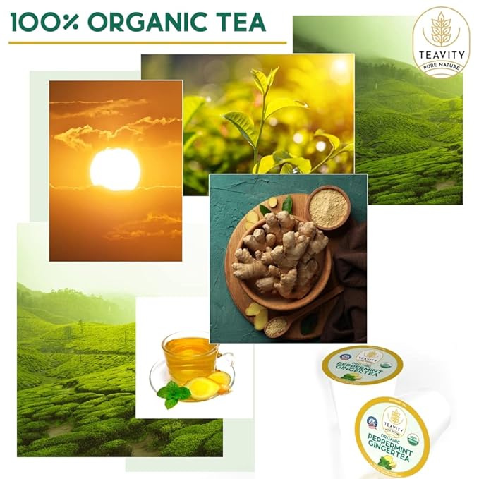 Teavity Organic Peppermint Ginger Tea Pods for Keurig - Decaf, 24 Count - Bloomnest