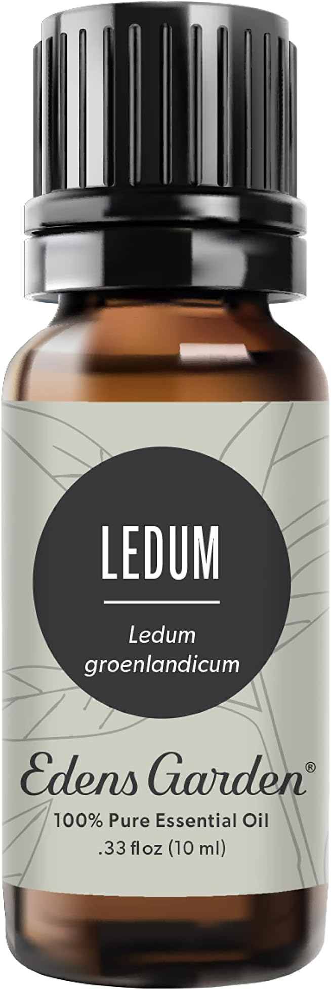 Edens Garden Ledum Essential Oil- 100% Pure Premium Grade, Undiluted, Natural, Therapeutic, Aromatherapy, The Best for Diffuser, Skin, Hair, Humidifiers 10 ml (.33 fl oz) - Bloomnest