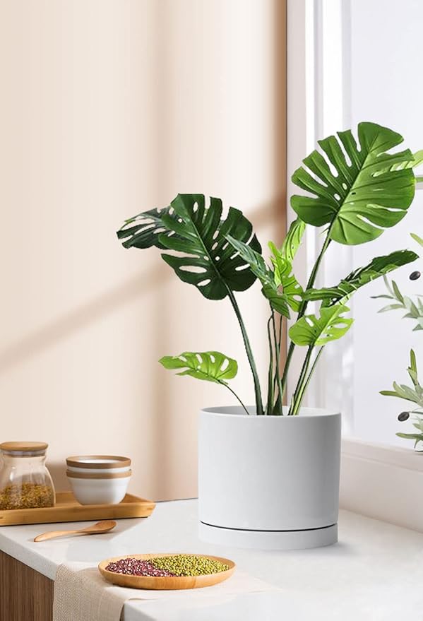 Aveyas 8 inch Ceramic Plant Pot with Drainage Hole and Saucer - Suitable for Indoor and Outdoor Use, Modern Planters for House Garden Flower Tree Snake Monstera Plants (8", Glossy White) - Bloomnest