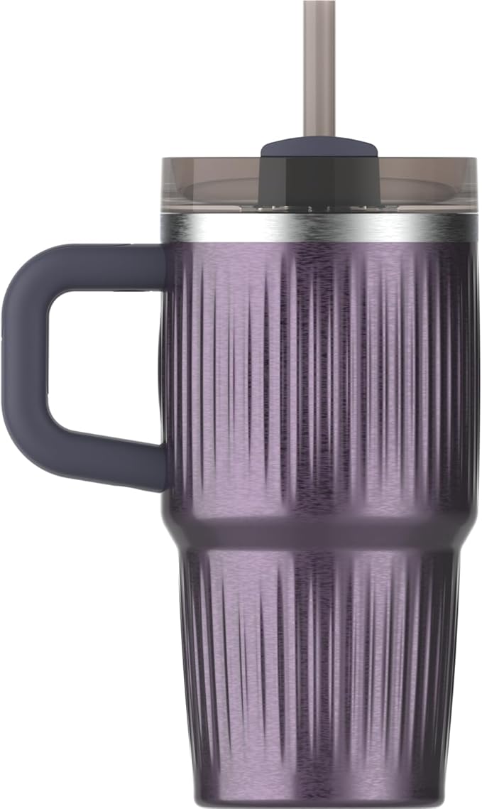 STANLEY Quencher H2.0 Tumbler with Handle and Straw 20 oz | Flowstate 3-Position Lid | Cup Holder Compatible for Travel | Insulated Stainless Steel Cup | BPA-Free | Fluted Wisteria Shine Stanley