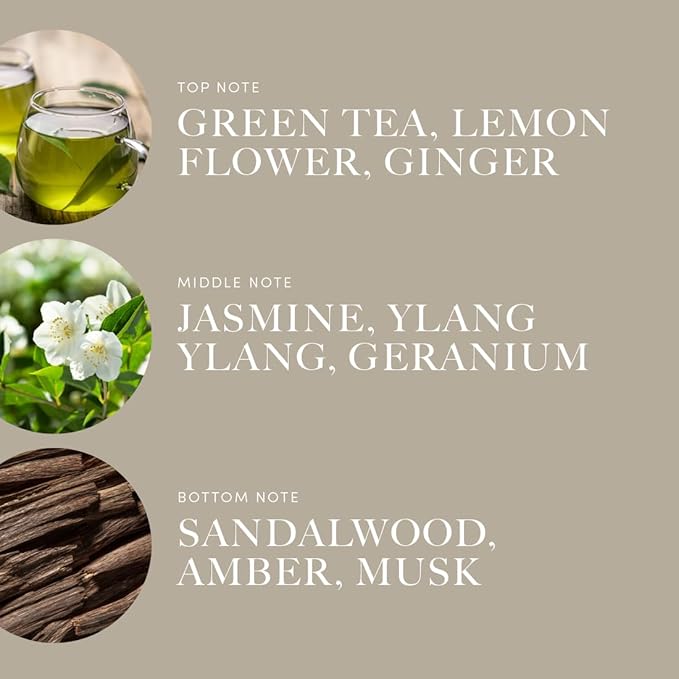 Aroma360 - All of Me Pro Pod Fragrance Oil Blend | Hotel Inspired Luxury Essential Oil Diffuser | Aromatherapy Scent Diffuser Oil | Green Tea, Lemon Flower and Jasmine 1.7 fl oz, 50 mL - Bloomnest