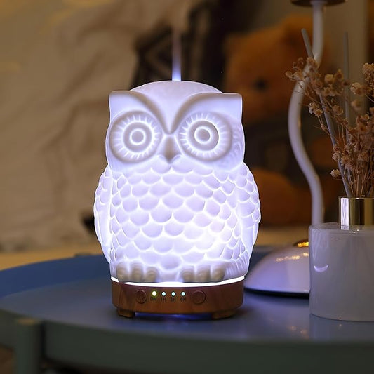 Owl Ceramic Aromatherapy Diffuser INRORANS 160ml Stone ultrasonic Cool Mist Scent Essential Oil Diffuser Humidifier with Intermittent Mist & LED 7 Colors Changing Night Light for Bedroom Office Home - Bloomnest