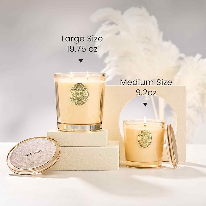 M&SENSE Large Two-Wick Soy Candle | Cheer Champagne & Gold | 19.8 oz, 120H Burn Time | Luxury Scented Candle for Relaxation, Gifting, Home Décor | Ideal for Bedroom, Office, Party Ambiance - Bloomnest