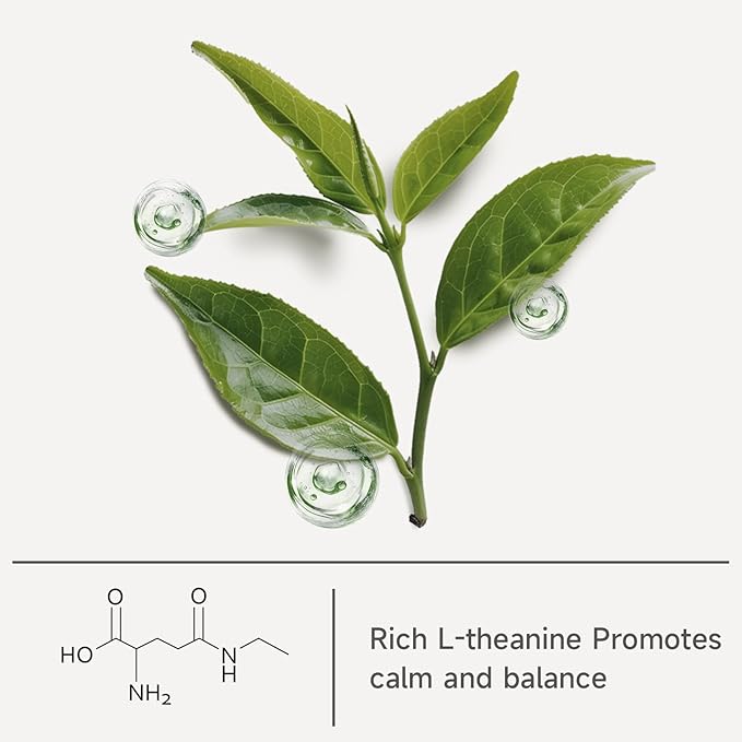 Chaism Ceremonial Grade Matcha Green Tea Powder - Single Origin Premium First Harvest USDA Organic, 1.06oz Tin - Bloomnest