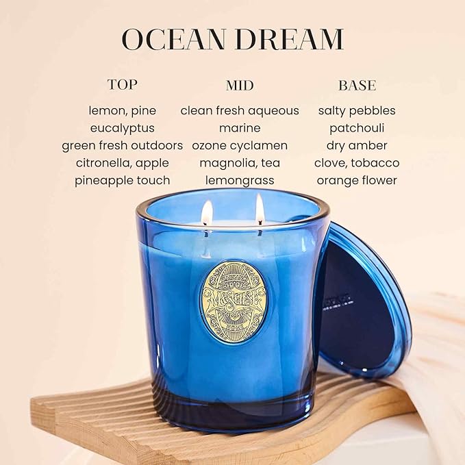 M&SENSE Large Two-Wick Summer Soy Candle | Ocean Dream & Blule | 19.8 oz, 120H Burn Time | Luxury Scented Candle for Relaxation, Gifting, Home Décor | Ideal for Bedroom, Office, Party Ambiance - Bloomnest