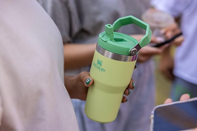 Stanley IceFlow Flip Straw Tumbler with Handle 20 oz | Twist On Lid and Flip Up Straw | Leak Resistant Water Bottle | Insulated Stainless Steel |BPA-Free | Citron - Bloomnest