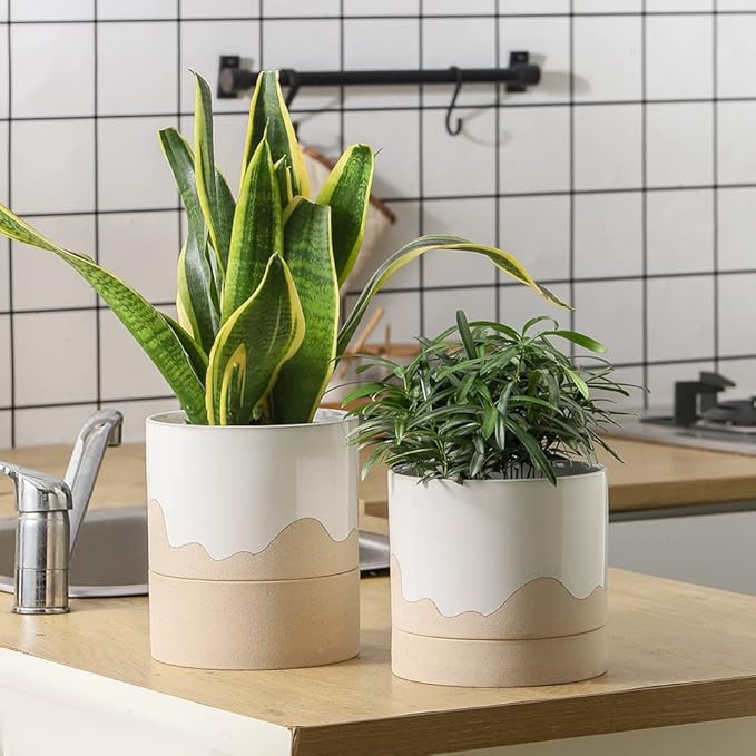 Nihow Self Watering Plant Pot: 6 Inch Ceramic Planter with Drainage Hole & Water Storage Plus for Indoor & Outdoor Plants - Cylinder Round Flower Pot for Succulent/Herbs/Violets - White & Nature - Bloomnest