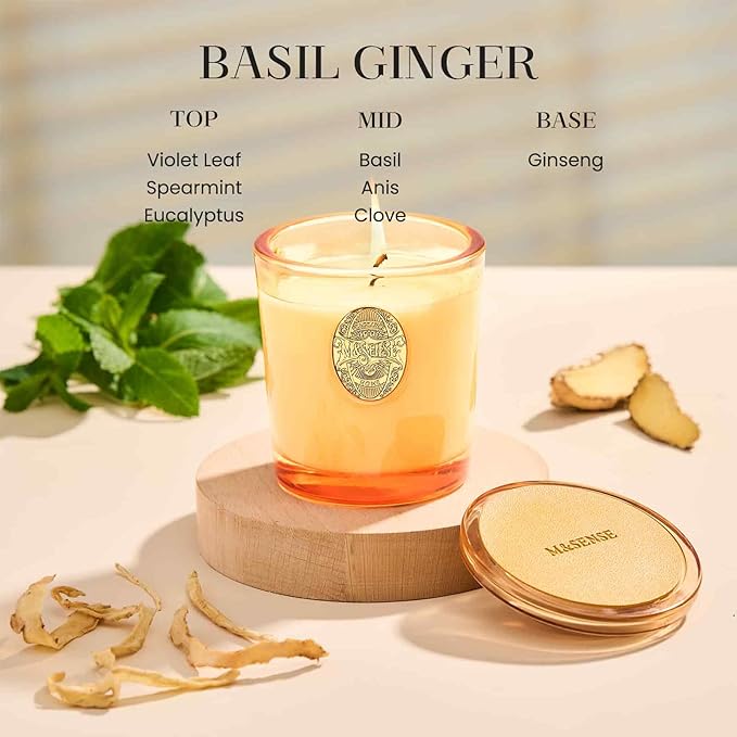 M&SENSE Natural Soy Candle | Basil Ginger & Orange | 9.2 oz, 50H Burn Time | Luxury Scented Candle for Relaxation, Gifting, Home Décor | Ideal for Bedroom, Office, Party Ambiance - Bloomnest