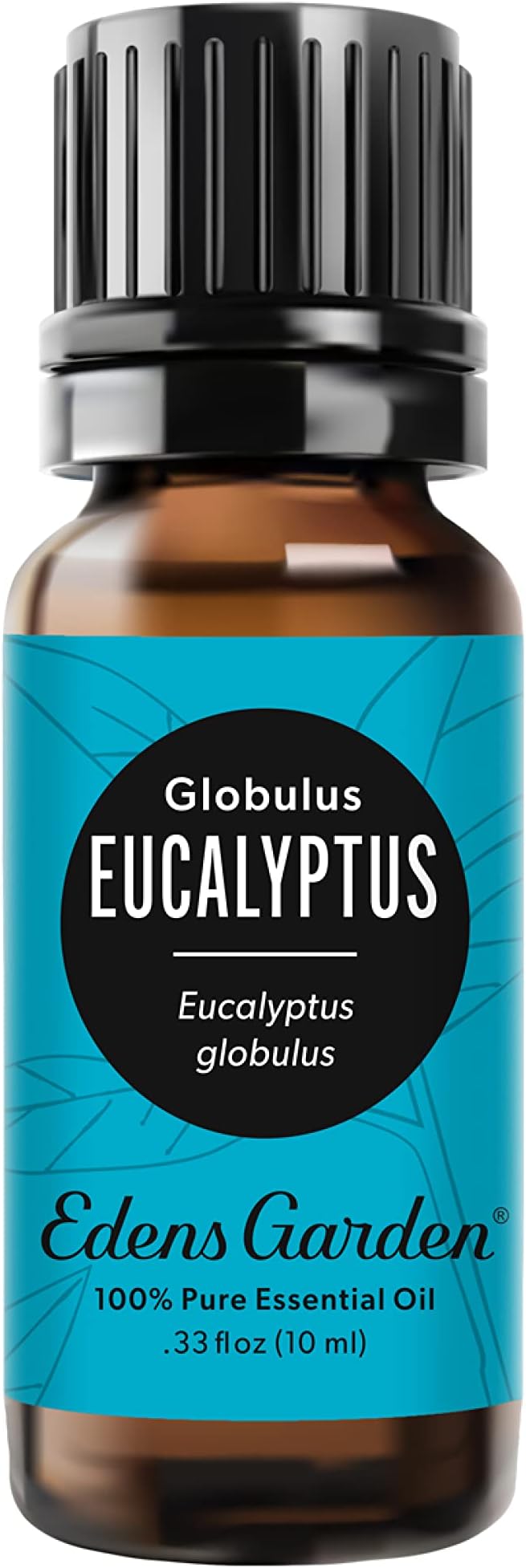Edens Garden Eucalyptus - Globulus Essential Oil- 100% Pure Premium Grade, Undiluted, Natural, Therapeutic, Aromatherapy, The Best for Diffuser, Candle, Hair, Humidifiers 10 ml (.33 fl oz) - Bloomnest