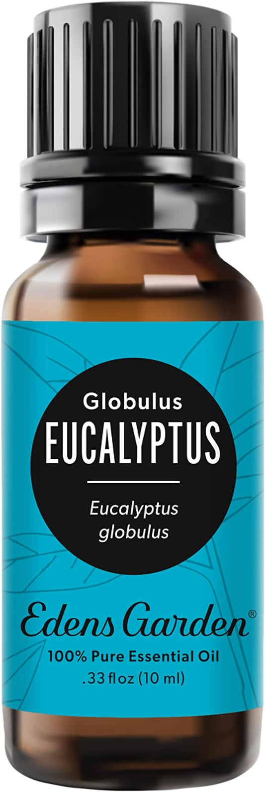 Edens Garden Eucalyptus - Globulus Essential Oil- 100% Pure Premium Grade, Undiluted, Natural, Therapeutic, Aromatherapy, The Best for Diffuser, Candle, Hair, Humidifiers 10 ml (.33 fl oz) - Bloomnest