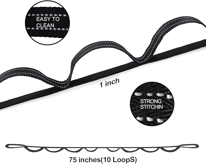 Premium Durable Stretch Straps with Loops, Stretching Strap for Physical Therapy, Multi-Loop Yoga Strap Fitness Exercise Strap for Yoga, Pilates, Dance, Flexibility&Exercise - Bloomnest