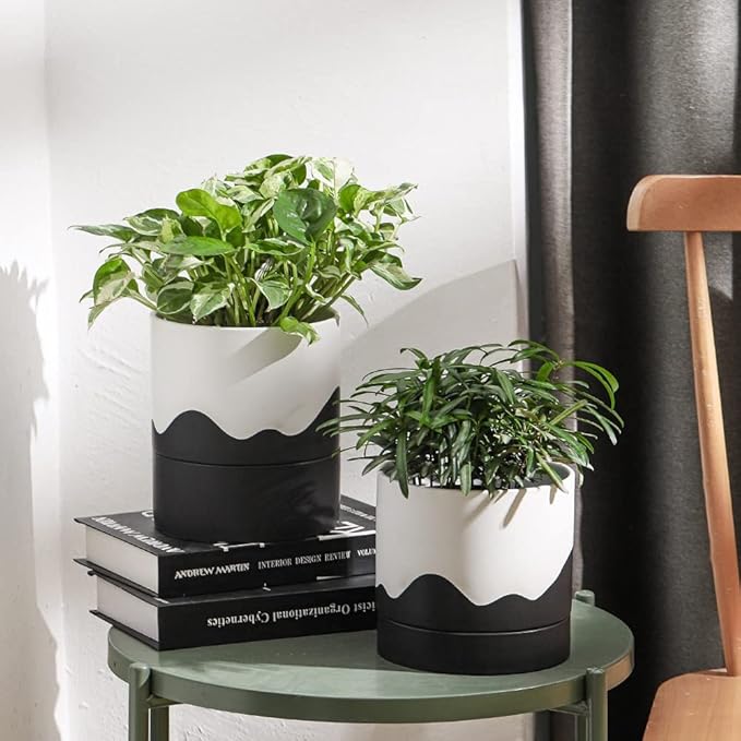 Nihow Ceramic Plant Pot: 6 Inch Planter with Drainage Hole & Saucer for Indoor & Outdoor Plants - Cylinder Round Flower Pot for Succulent/Herbs/Violets - White & Wave Black - Bloomnest