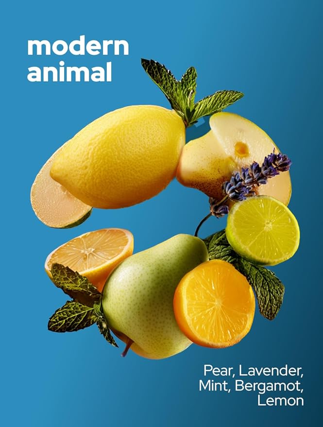 Vilicci Modern Animal Car Air Freshener | Long-Lasting Scent (Up to 120 Days) | Vegan, Cruelty-Free Hanging Car Diffuser - Bloomnest