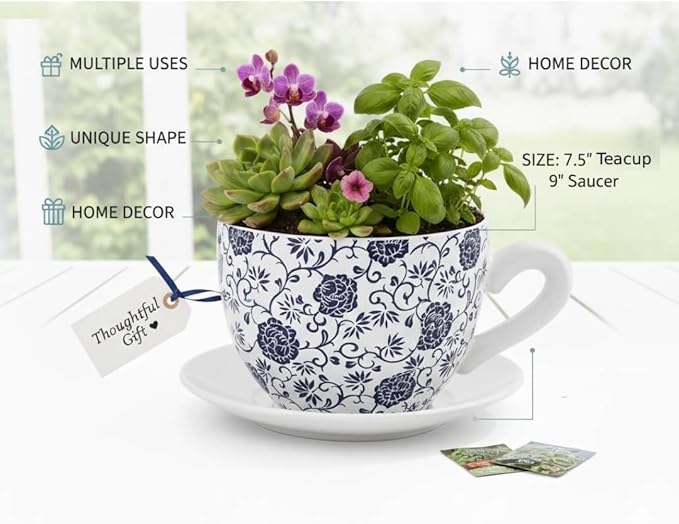 7.5" Ceramic Teacup Planter Pot with Saucer | Ideal for Succulents, Orchids, Herbs & Flowers | Indoor Use| Thoughtful Gift for Birthday, Gift Basket, Sympathy & More – White Blue Floral Teacup Planter - Bloomnest