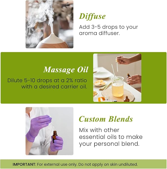 Handcraft Blends Rosemary Essential Oil – 0.33 Fl Oz – 100% Pure and Natural – Premium Grade Essential Oil for Diffuser and Aromatherapy, Skin, Massage, Candle and Soap Making Fragrance - Bloomnest