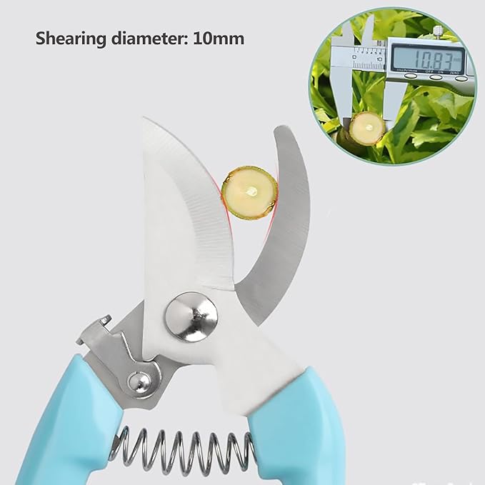 Premium Garden Shears, Pruning Scissors Gardening Tools, Pruners For Flower, Bushes, Rose And Fruit Tree, Use For Florist, Yard And Orchard the Plant Clippers, Sharp White Steel Anvil Snips - Bloomnest
