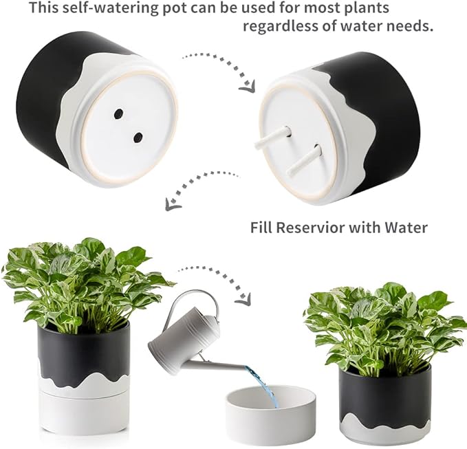 Nihow Self Watering Plant Pot: 6 Inch Ceramic Planter with Drainage Hole & Water Storage Plus for Indoor & Outdoor Plants - Cylinder Round Flower Pot for Succulent/Herbs/Violets - Black & Wave White - Bloomnest