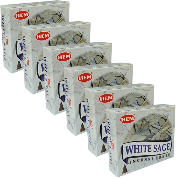 TRUMIRI Incense Cone Holder Bundle with Hem White Sage Incense Cones - Pack of 6 (Approx 60 Cones) TRUMIRI